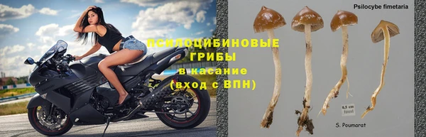 тгк Алзамай